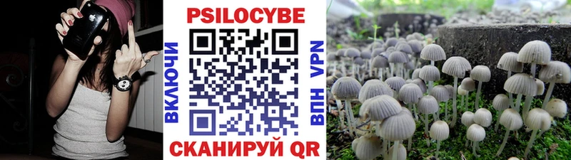 Галлюциногенные грибы Cubensis  это состав  Алапаевск 